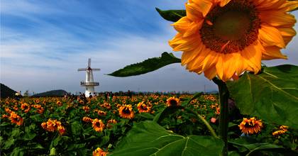 0574-65321666 门  票:20元 景区地址:宁海长街镇山头村 欢乐佳田农场